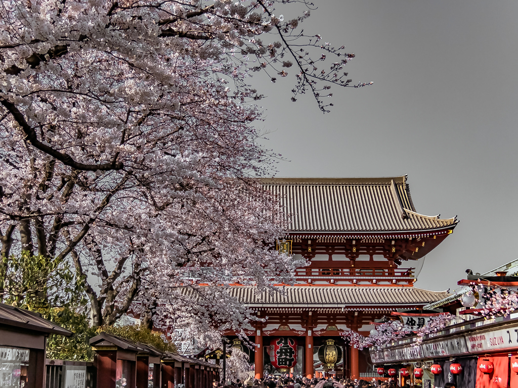 Senso-ji Temple