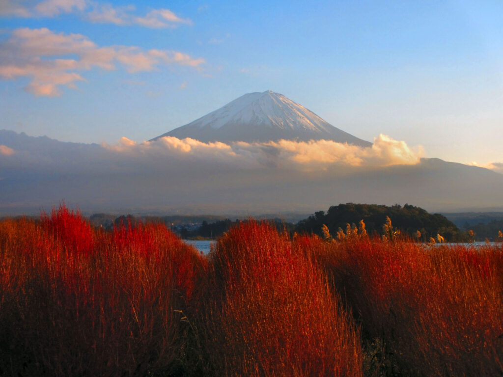 Oishi Park