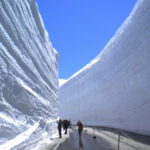 Murodo Snow wall