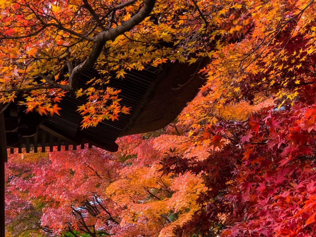 Choju-ji_temple