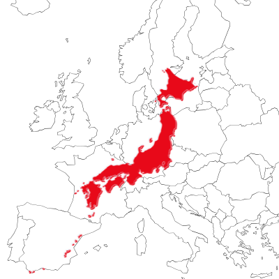 Japan's Size Compared to Europe