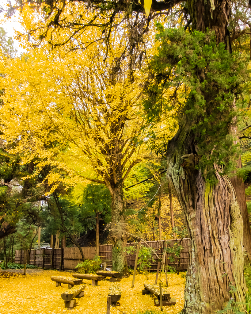 Jochiji temple