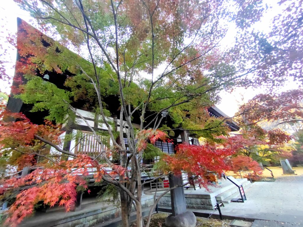 Kuhonbutsu AutumnLeaves