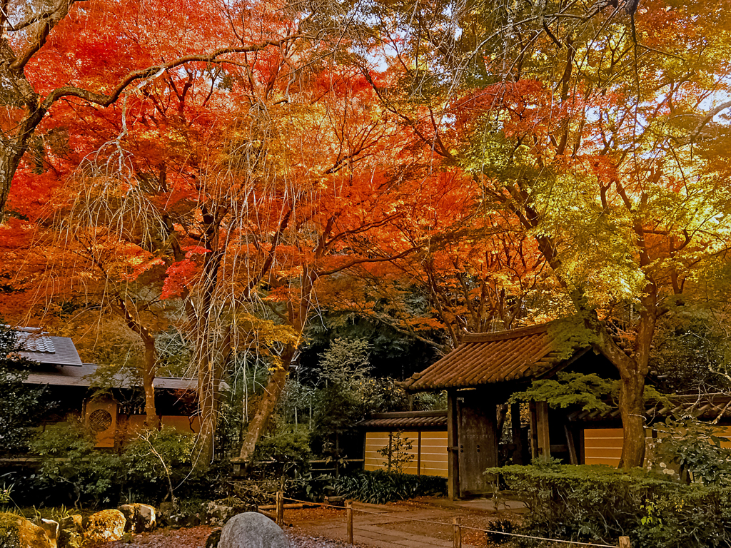 Zuisenji Temple